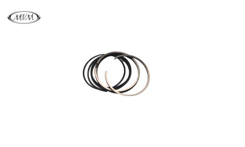 رینگ موتور ام وی ام X33