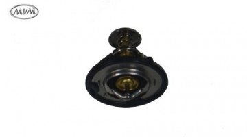 ترموسات ام وی ام X33